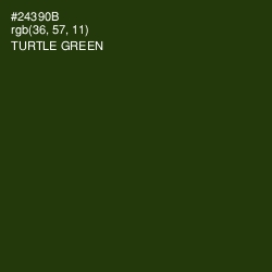 #24390B - Turtle Green Color Image